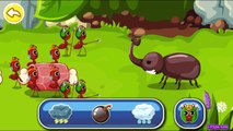 Learn About Ants with Ant Colonies by BabyBus Kids Games for Toddler Preschooler Kindergar