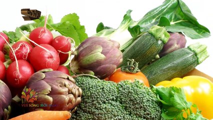 [CHU THỊ TV] Vui Sống Mỗi Ngày | Bữa ăn thông minh cho người bận rộn