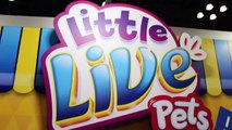 Little Live Pets TOY FAIR 2016 Tweet Talking Bird, Lil Frog, Turtle, Mouse, Snuggles Puppy-aPA