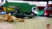 Garbage Truck Videos For Children l TOY TRUCK BATTLE Jumping Ramps l Garbage Trucks Rule-SLRJ