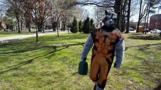 ROCKET RACCOON Grows A GROOT IRL - Guardians of the Galaxy - Superhero Movie In Real Life - Marvel-6ZE7x4aSQ