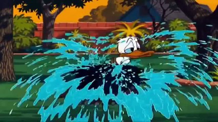 Donald Duck and Chip, Dale Cartoons - chapter 2