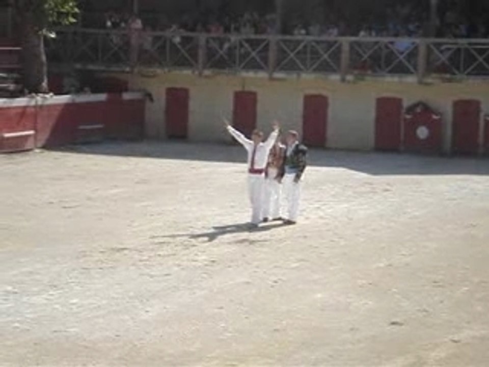 Saut périlleux et figures