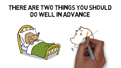 Vets in Chichester – Boarding Your Dog: Vaccination Requirements