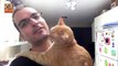 New Cats Love Their Human Owners Compilation
