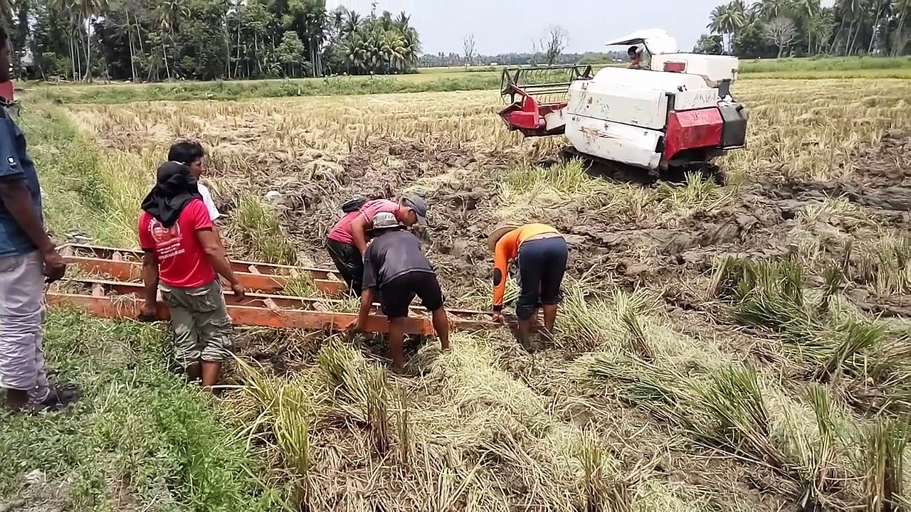Proses Evakuasi Mobil Pemotong Padi