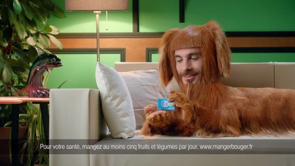 Film Kiss Cool - Le teckel 20"