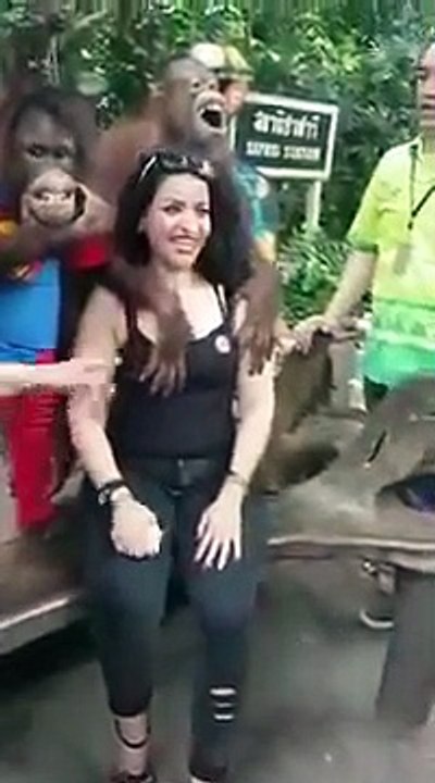 فتاة تاخذ صوره مع قرد - وكانت المفاجئه