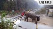 Elephant Lifts Barrier To Cross Train Tracks