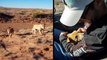Brothers Rescue Abandoned, Starving Desert Puppies