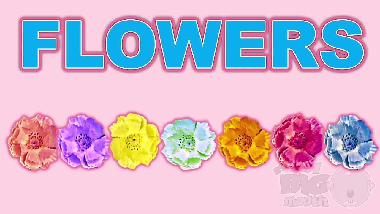 Baby Big Mouth Surprise Egg Learn-A-Word