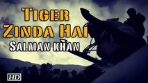 Tiger Zinda Hai | Watch Salman Khan's first action sequence
