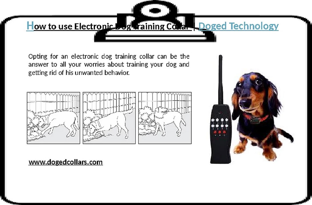 How to use Electronic Dog Training Collar - Doged Technology