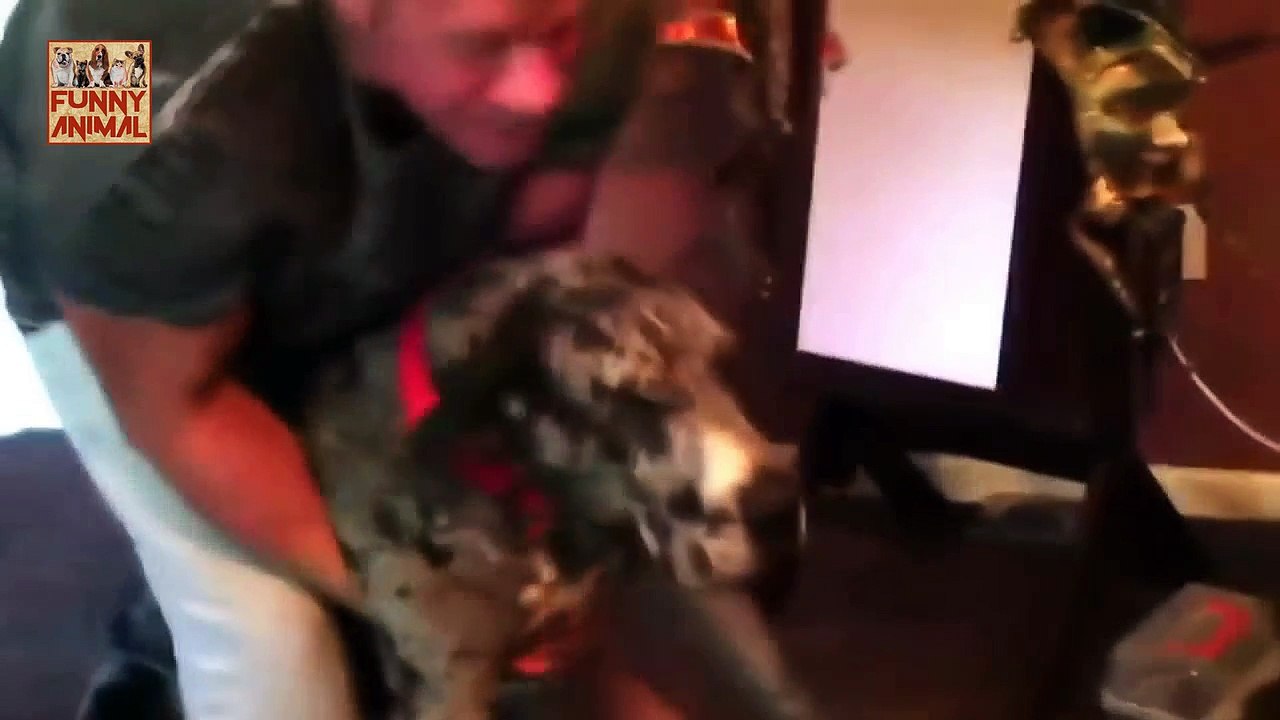 New Dogs Just Don't Want to Bath