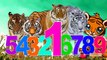 Tiger Cartoon 123 Songs For Children | Tiger 123 Numbers For Kids | 123 Children Nursery Rhymes