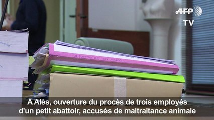 Ouverture à Alès d'un procès inédit sur la souffrance animale