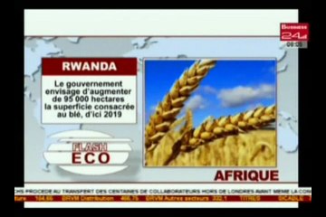 Flash Eco Afrique Edition du Jeudi 23 Mars 2016
