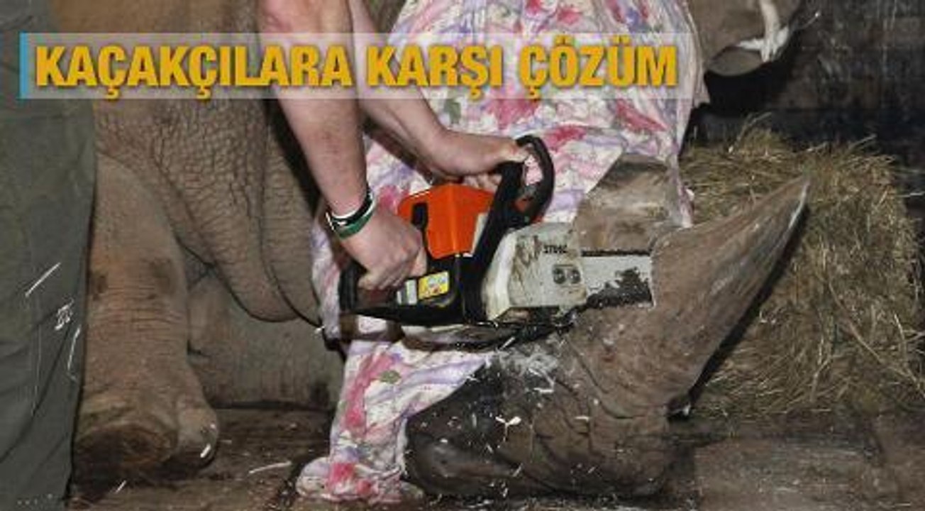 Kaçakçılara karşı çözüm