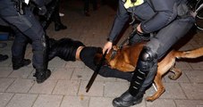 Hollanda'da Polis Köpeğinin Isırdığı Hüseyin Kurt Türkiye'de