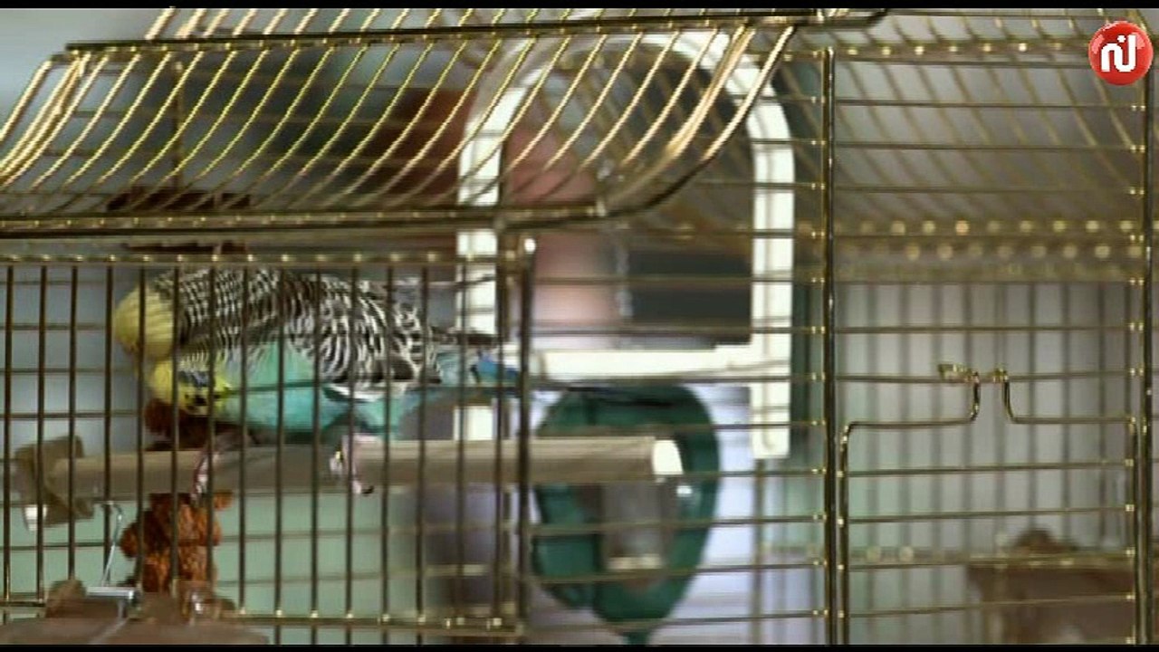 Niran Sayfiya Episode 38-نيران صيفية الحلقة 38