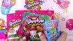 Shopkins GINGERBREAD HOUSE KIT Frosting Gummy Candy Food Craft Playset - Cookieswirlc Vide