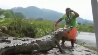Crocodile vs Man Attack 2017 Animal Attacks