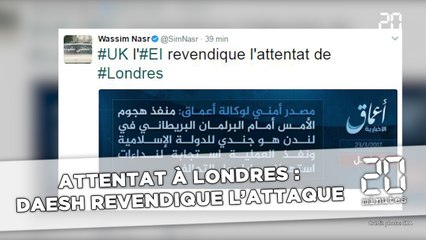 Download Video: Attentat à Londres: Daesh revendique l'attaque