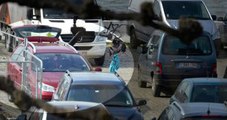 Belçika'da Terör Alarmı! Aracını Kalabalığın Üzerine Süren Tunuslu Gözaltında