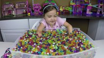 ORBEEZ SURPRISE TOYS CHALLENGE MATCHING GAME MLP MyLittlePony Littlest Pet Shop LPS Palace