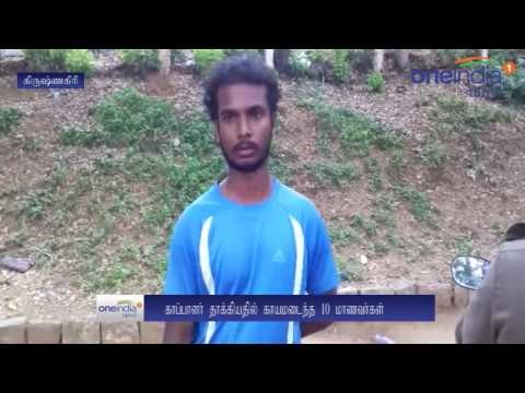 பன்றி மீது கல் எறிந்ததால் ஆத்திரம்... மாணவர்களுக்கு அடி, உதை... ஹாஸ்டல் வார்டன் கைது- வீடியோ