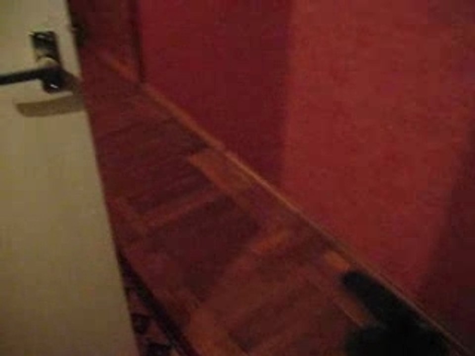 Popik