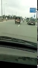 Most Funny Donkey Fail Videos 2016 Animals