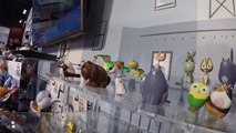 SECRET LIFE of PETS Movie TOYS Toy Fair 2016, Best Friend Max, Gidget, Snowball & Mel-ji-aT1x