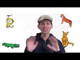 Lets Practice English: Animals | Children, Toddlers, Preschool