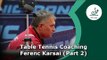 Table Tennis Coaching Session Ferenc Karsai - Part 2