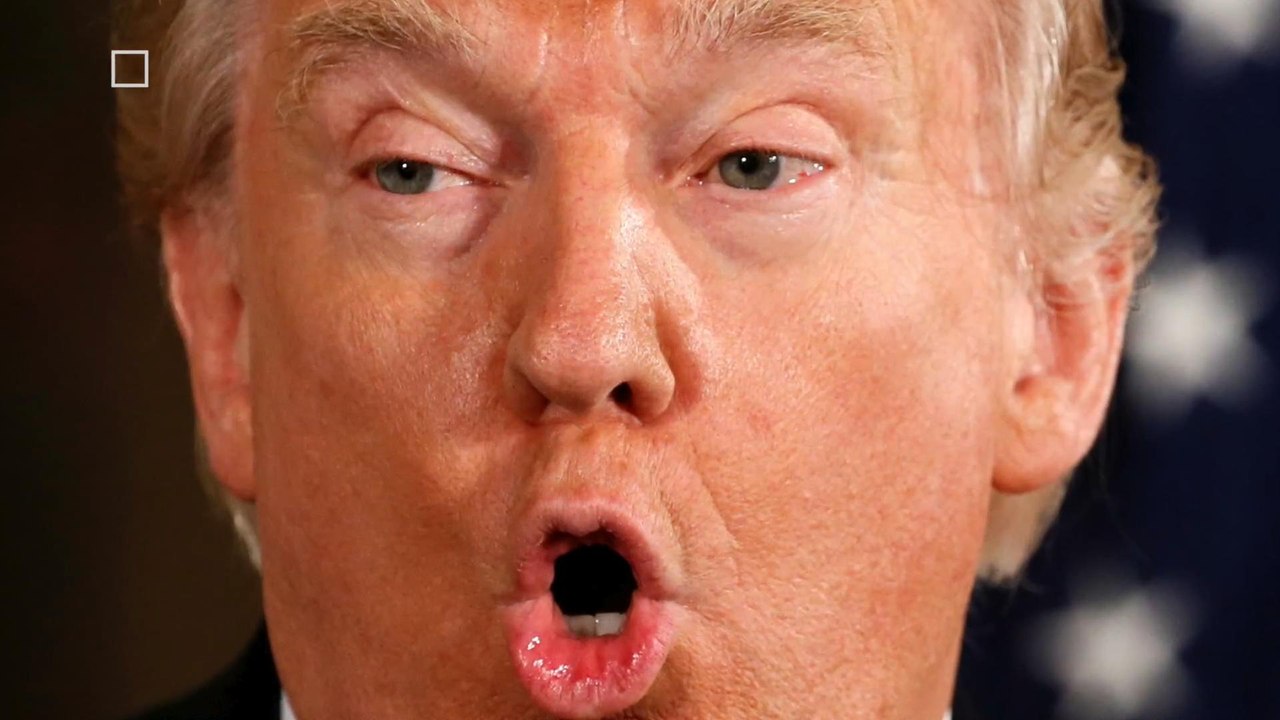Trump Hits Back at Paul Manafort and Wiretappin...