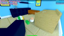 Hamsters In The House - Roblox Animal House Pets - Online Game Let's Play Random Fun Video-WModXE