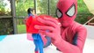 Spiderman vs Joker vs Pink Spidergirl - Epic Pool Battle! - Venom, Two Face, Joker Girl, Two-Face-XRKDj