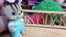 Calico Critters Kittens Ryan Plays With Liz & Bad Boy Reads Diary in a Tree House HMP Shorts Ep. 18-6UN