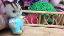 Calico Critters Kittens Ryan Plays With Liz & Bad Boy Reads Diary in a Tree House HMP Shorts Ep. 18-6UNwV