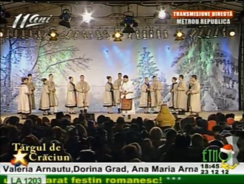 Iulia Mihai - Faie verde izma creata & Alelele salcioara