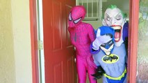 Joker vs Joker Girl! w_ Pink Spidergirl & Batman - Spiderman vs T Rex - Funny Superheroes  -)-nrGK