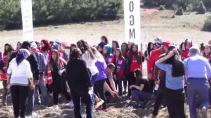 Dünya Ormancılık Günü ve Orman Haftası