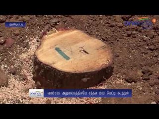 தேனி: வனச்சரக அலுவலக வளாகத்தில் கத்தி முனையில் சந்தன மரம் கடத்தல் - வீடியோ