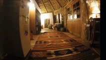 Ce Porc-épic malin vient vider le frigo de cette villa