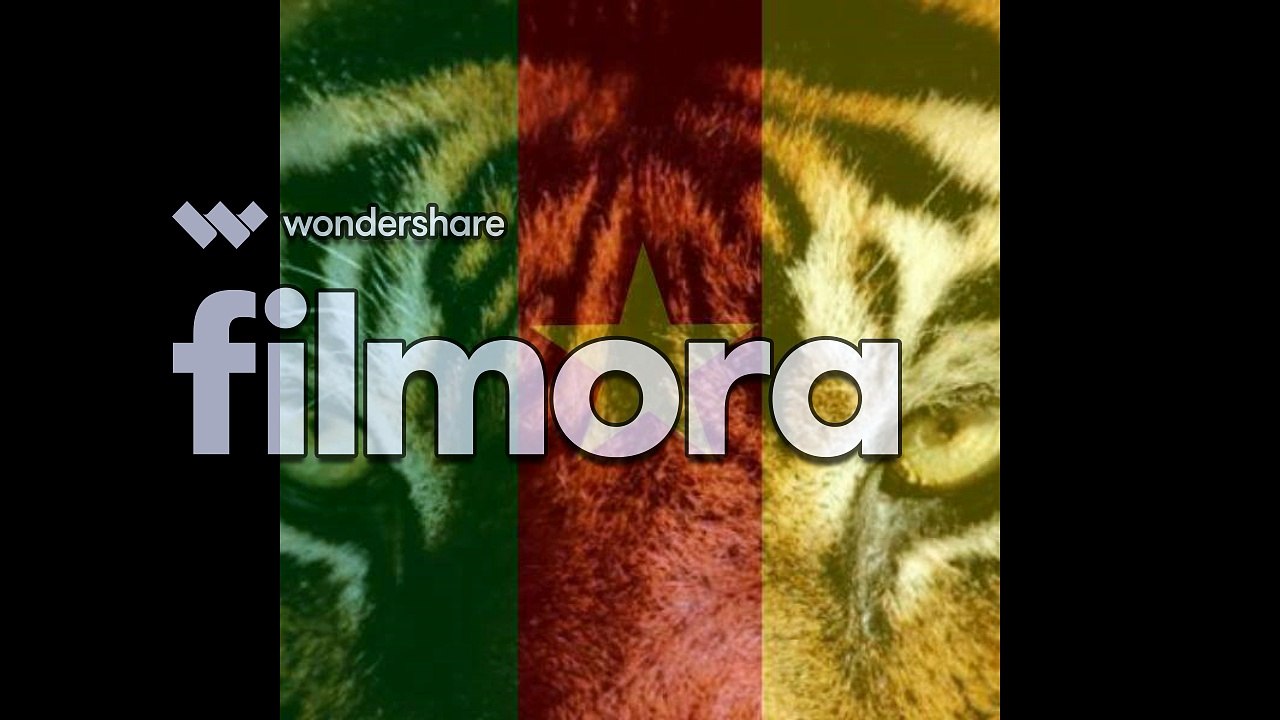 Denis Dïdone  (ELLE)