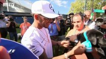 Formule 1 – Une concurrence féroce pour le sacre