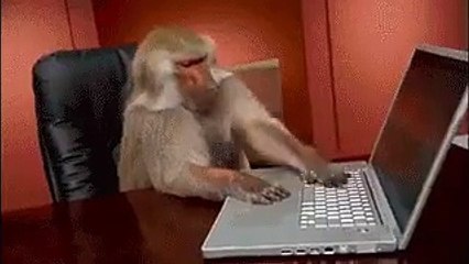 webhooks test monkey