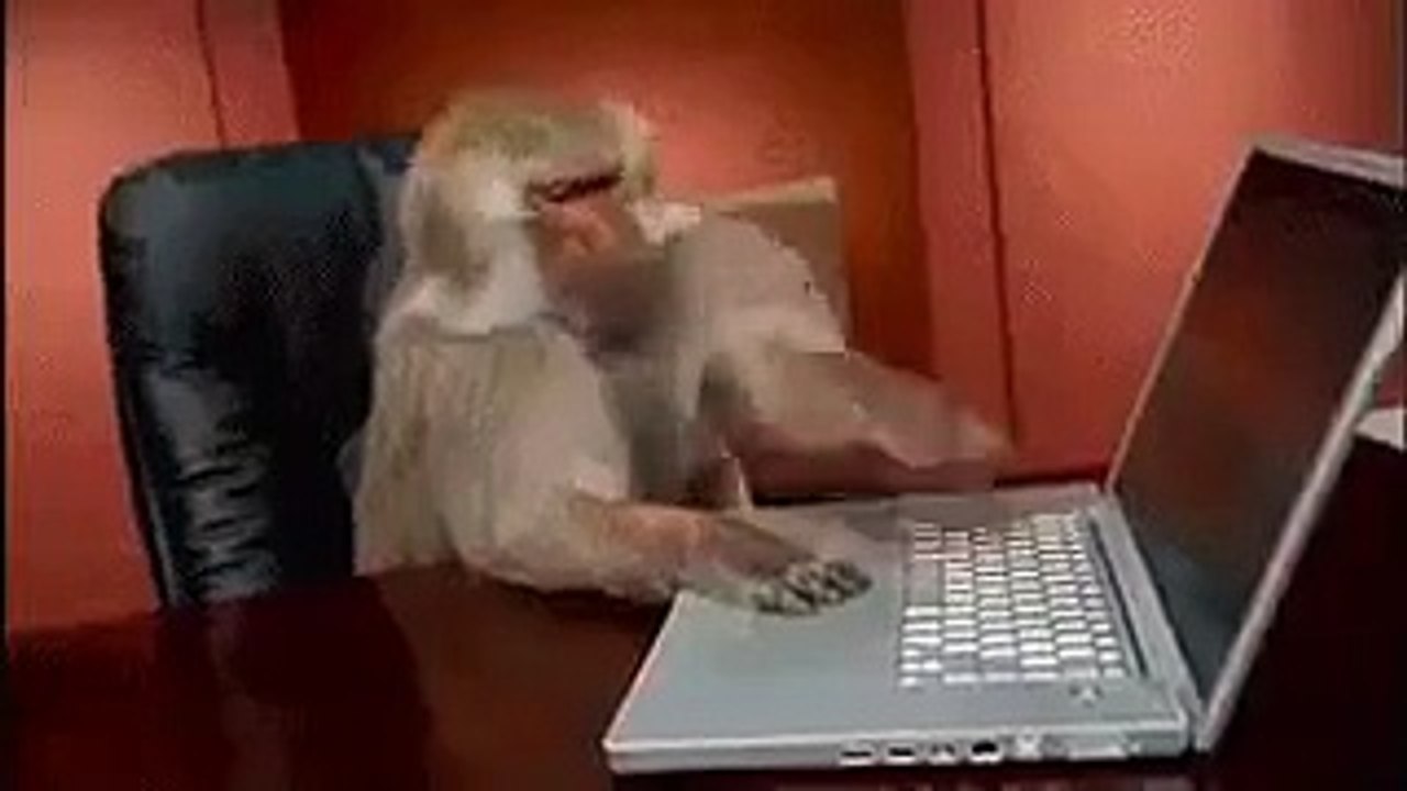 1_.mp4
