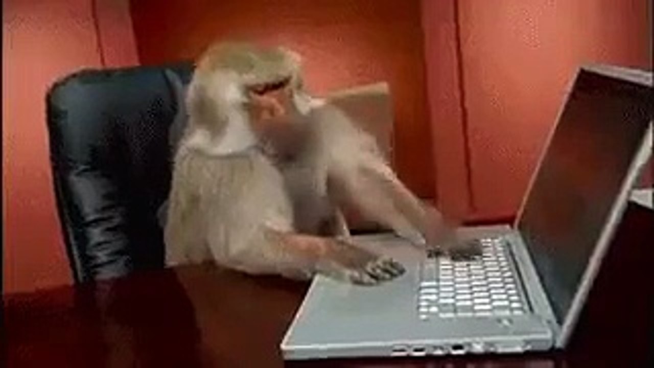 bumper.mp4